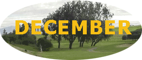 &nbsp;&nbsp;&nbsp;DECEMBER&nbsp;&nbsp;&nbsp;